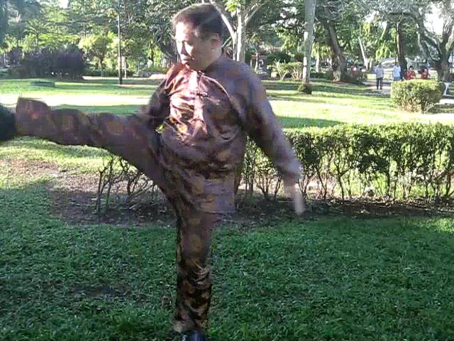 Sun Style Taijiquan